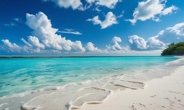 Encerramento AE Trofa mês de agosto